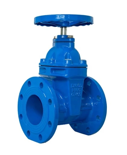 BS5163  Resilient Seated Gate Valve 